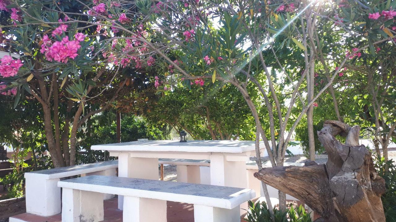Minas de São Domingos Palacete Dos Alcaides מראה חיצוני תמונה